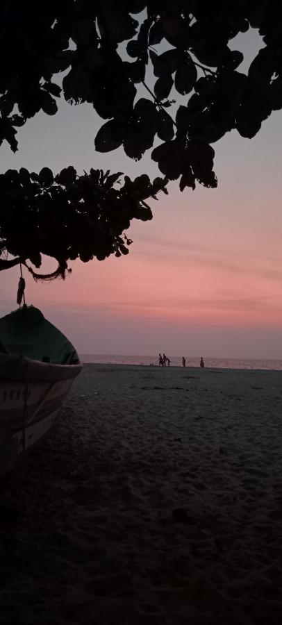 Beachcampers Only For Foreign Traveler'S Alappuzha 외부 사진
