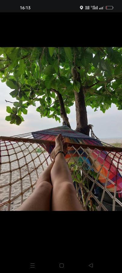 Beachcampers Only For Foreign Traveler'S Alappuzha 외부 사진